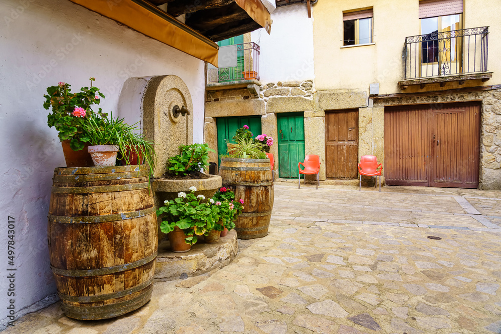 Old village with barrels with plants and flowers in the street, Sequeros, Salamanca.