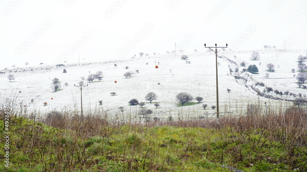 Obraz premium Hills covered with snow in Golan Heights ,Israel. Snow laying over green grass.