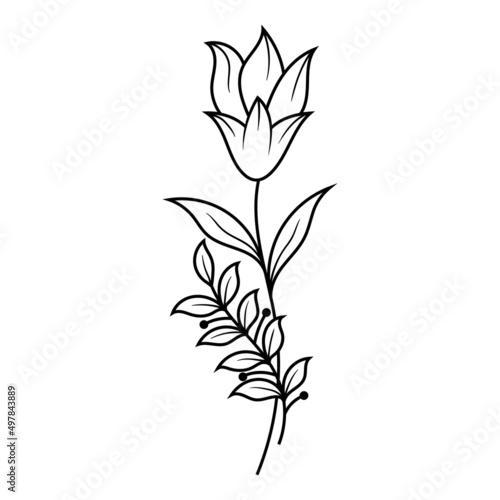 Floral line art illustration design vector isolated
