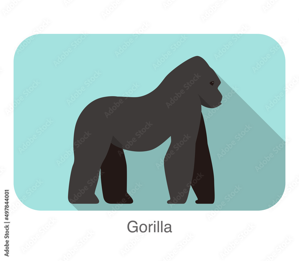 Obraz premium Strong gorilla standing and watching vector illustration