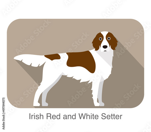 Irish red and white setter terrier standing and watching, flat icon, vector illustration