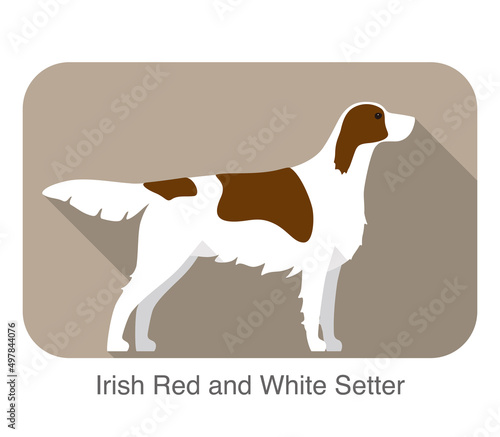 Irish red and white setter terrier standing and watching, flat icon, vector illustration
