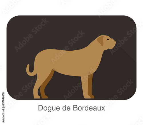 Dogue de bordeaux dog standing and watching  flat icon  vector illustration