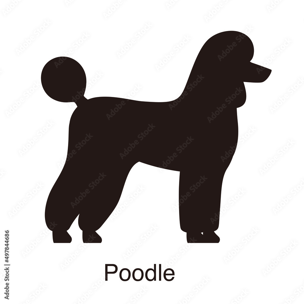 Poodle dog silhouette, side view, vector illustration