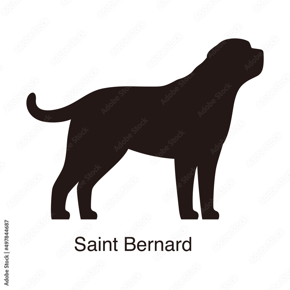 Saint Bernard dog silhouette, side view, vector illustration