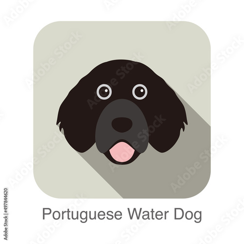 Portuguese water dog face portrait flat icon design, vector illustration photo