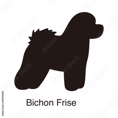 Bichon Frise dog silhouette  side view  vector illustration