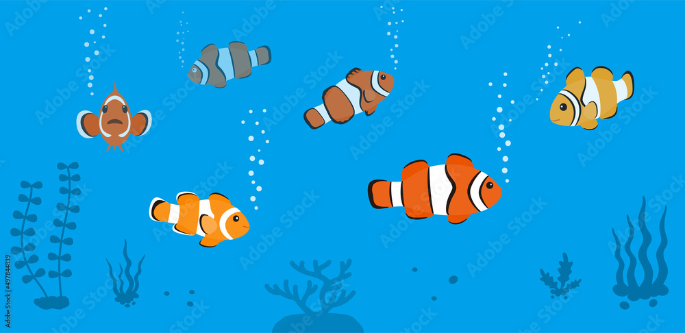 clown fish swimming in the sea, seaweed vector illustration clown fish swimming in the sea, seaweed vector illustration