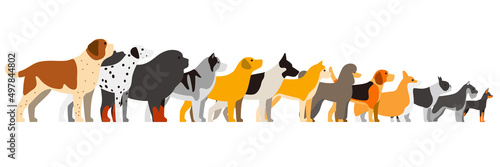 set of dog breeds standing in a line, side view vector illustration