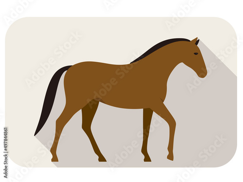animal horse series flat icon  walking vector illustration