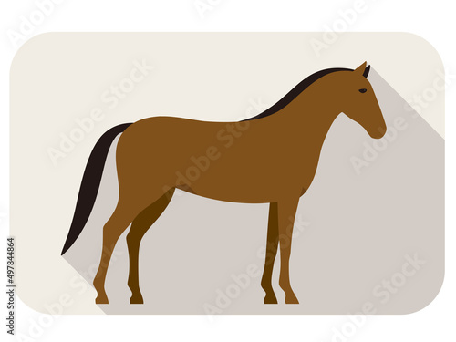 animal horse series flat icon  standing vector