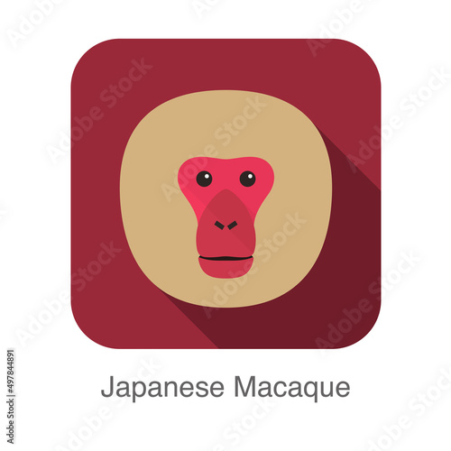Japanese snow macaque face flat icon design, vector illustration