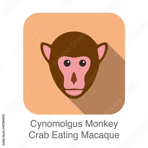 cute Cynomolgus monkey, crab eating macaque face flat icon design, vector illustration