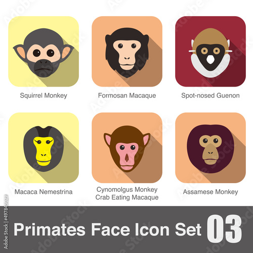 cute monkey face flat icon set vector illustration
