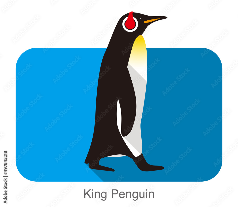 Obraz premium King Penguin walking, Penguin seed series, vector illustration