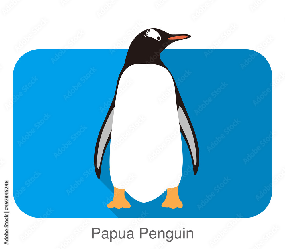 Obraz premium Papua penguin, Gentoo penguin, standing, vector illustration