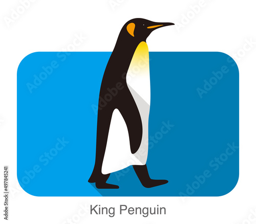 King Penguin walking  Penguin seed series  vector illustration