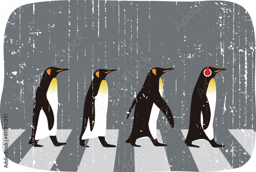 King Penguin walking, Penguin seed series, vector illustration