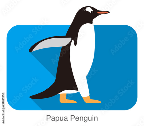 Papua penguin  Gentoo penguin  walking  vector illustration