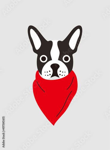 Portrait of dog, wearing scarf, like a man, cool style, cosplay