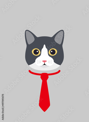 Portrait of cat, wearing scarf, like a student, cool style, cosplay