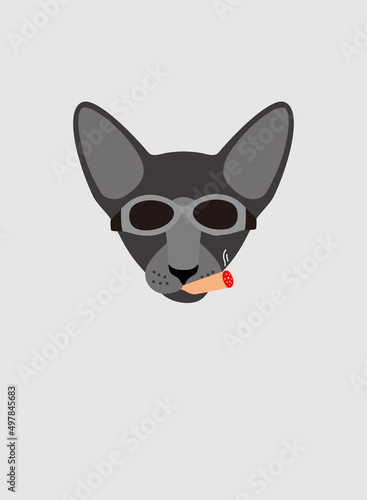 Portrait of cat, wearing glasses, like a gang boss, cool style, cosplay