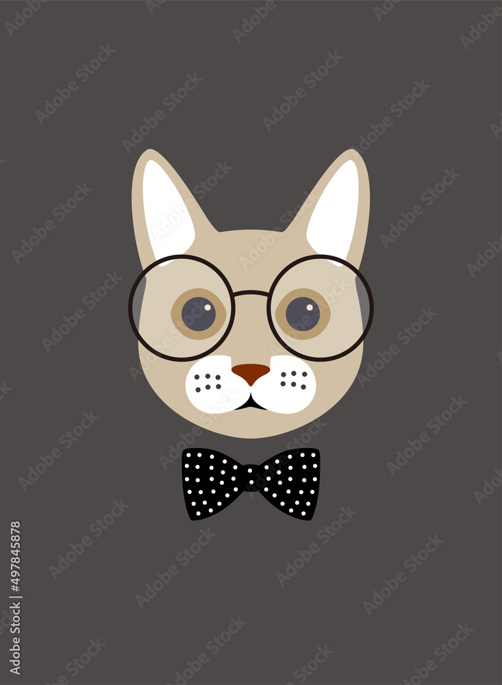 Obraz premium Portrait of cat, wearing glasses, like a scholar, cool style