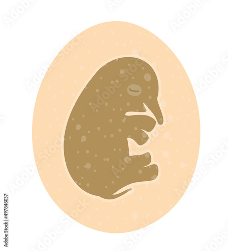 Elephant fetus in the egg, concept of big idea or new company