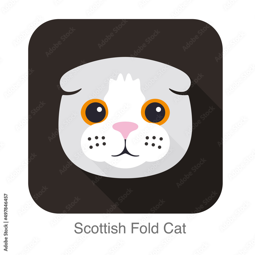 Scottish Fold cat face flat icon design, vector illustration