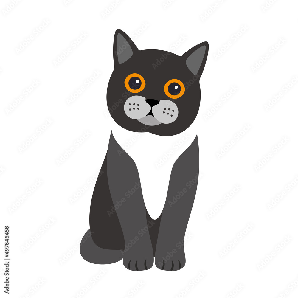 Exotic cat standing, flat icon design, vector illustration Exotic cat standing, flat icon design, vector illustration