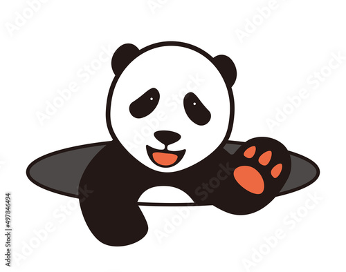 cute panda baby standing  come out from the hole  say hello