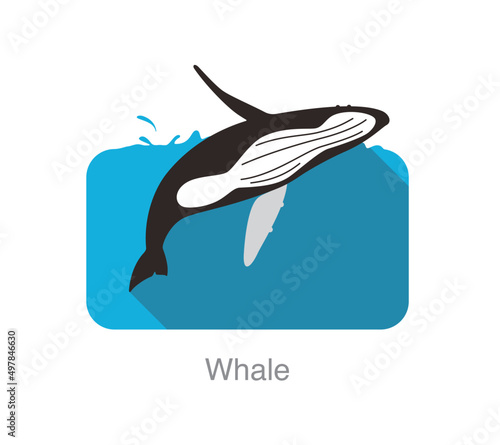 Humpback Whales jumping out of the sea, animal flat icon