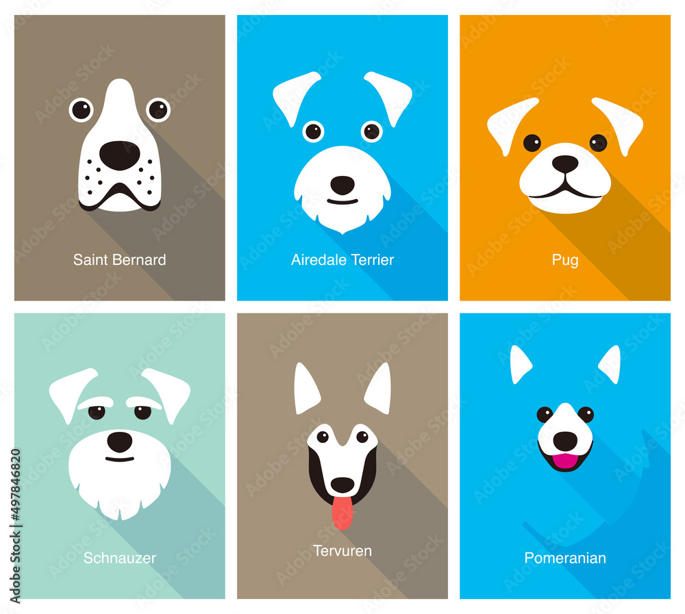 Animal cartoon faces, cute flat portrait icon, vector illustration