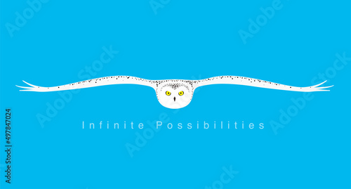 Owl expanding it's wings, flying to the camera, flat icon simple design, vector illustration