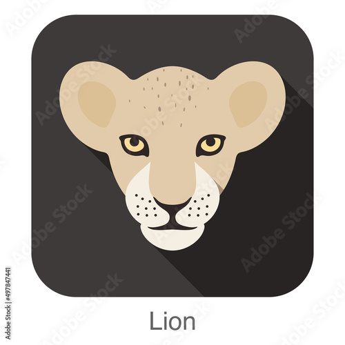 Cute Lion baby, Cat breed face cartoon flat icon design