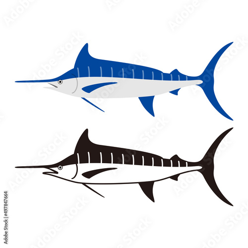 Atlantic blue marlin fish, vector illustration