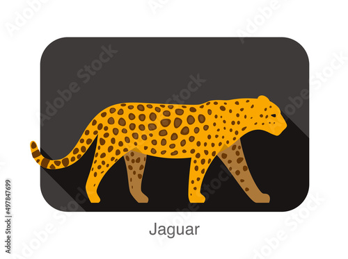 Fototapeta Naklejka Na Ścianę i Meble -  Jaguar cat walking side flat 3D icon design
