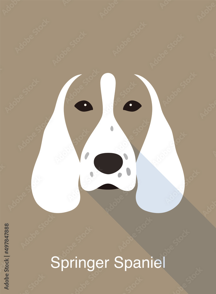 Springer Spaniel, dog face flat icon design, vector illustration