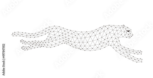 Cheetah is running, triangle mesh, vector illustration © hakule