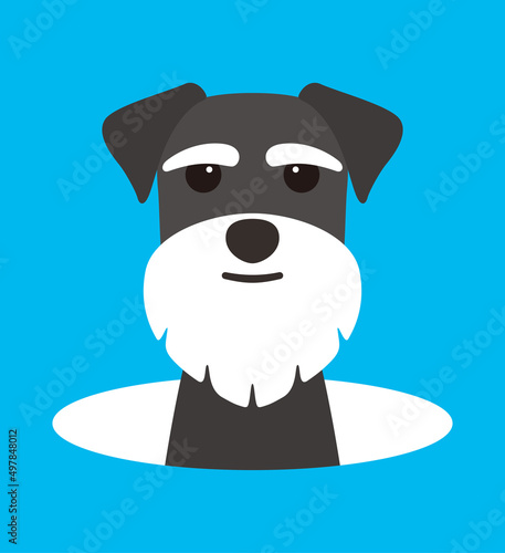 cute Schnauzer dog on the hole, watching, vector illustration