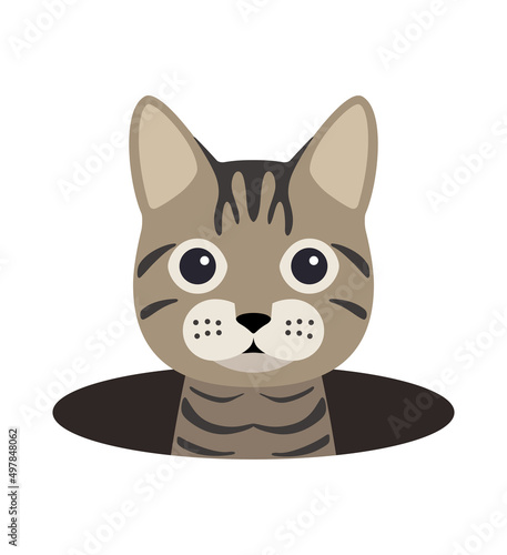 cute cat on the hole, watching, vector illustration
