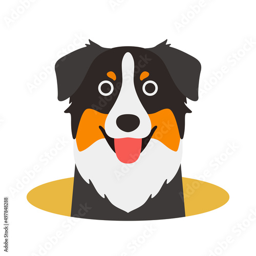 Australian Shepherd dog on the hole, watching, vector illustration