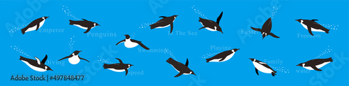 Many Emperor Penguins swimming in the sea with various postures.
