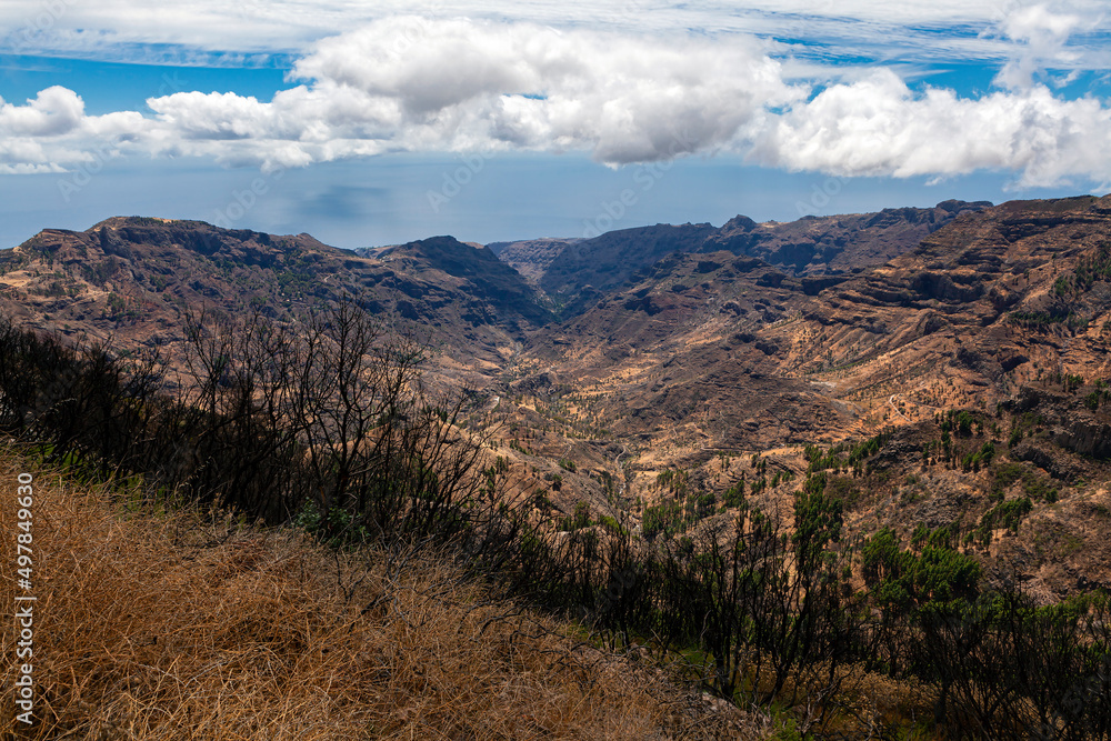 Mountain landscape . La Gomera Island. The Canary Islands.