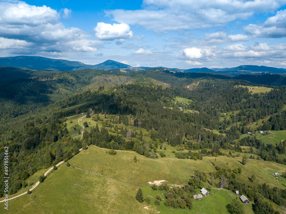 Obraz premium Green mountains of Ukrainian Carpathians in summer. Coniferous trees on the slopes. Aerial drone view.