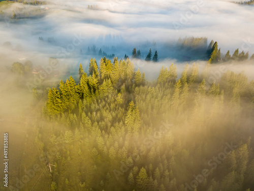 Fototapeta Naklejka Na Ścianę i Meble -  Fog envelops the mountain forest. The rays of the rising sun break through the fog. Aerial drone view.