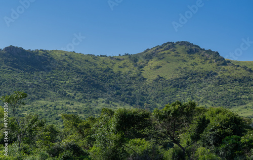 Buschlandschaft Naturreservat Hluhluwe Nationalpark Südafrika