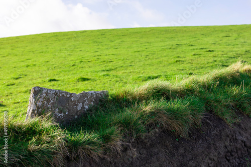 grass and stone