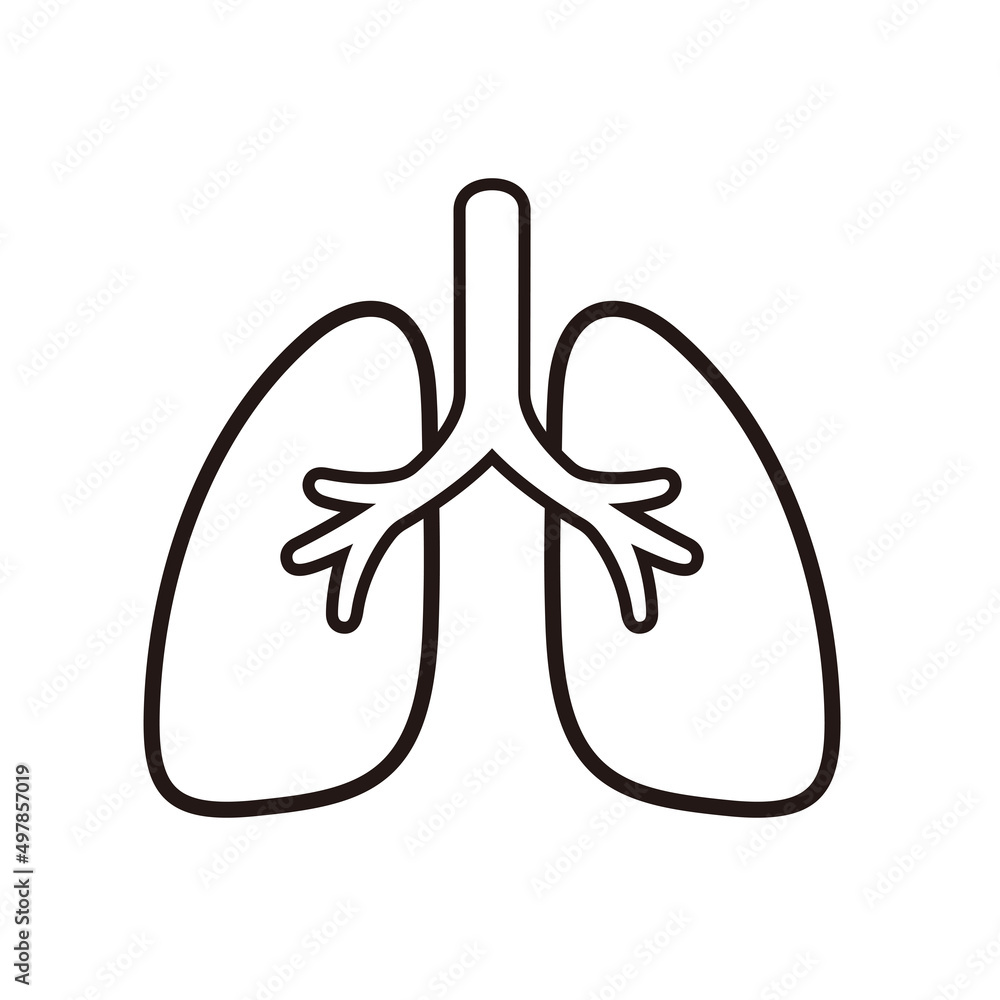 Human organ lungs flat icon, vector illustration Human organ lungs flat icon, vector illustration