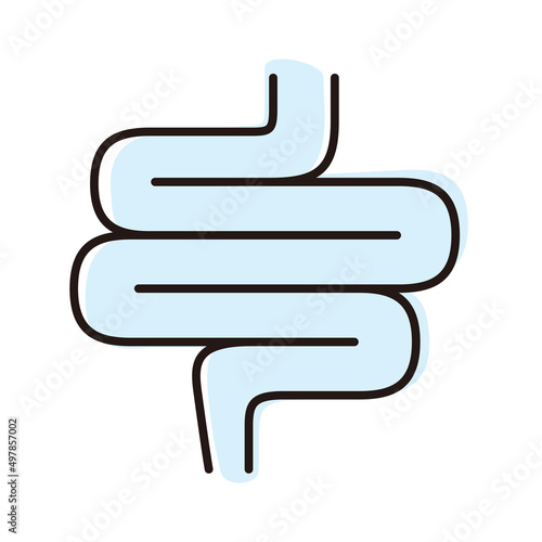 Human organ intestine flat icon, vector illustration